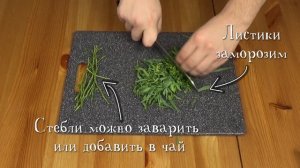 Эстрагон заготовка