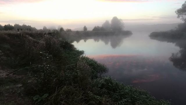 Трудовая рыбалка в сентябре на Свислочи. Ловля сома, карпа.