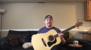 Guitar Review Washburn D10S Acoustic