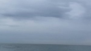 28.01.2023. Погода в Сочи в январе.Смотри на Чёрное море каждый день.