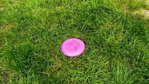 Фрисби. Диск за 1$ & 11$ .Какая разница? Диск за 1$ & 11$ / Frisbee / Discraft