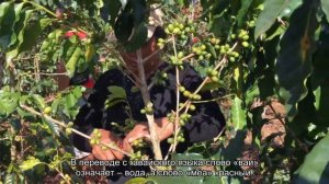 Самый красивый остров в Тихом океане