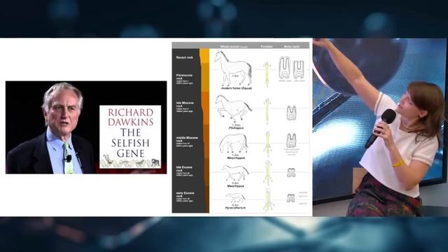 Лекция Елены Судариковой «Секрет нашего небессмертия» смотреть онлайн