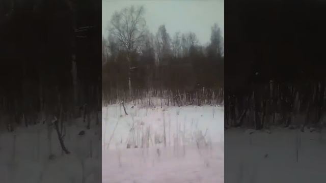 Электропоезд. Санкт-Петербург(Ладожский)-Волховстрой
