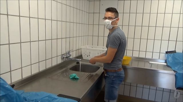 Нашли дикую чернику в лесу на озере в Баварии. Часть 1. смотреть онлайн