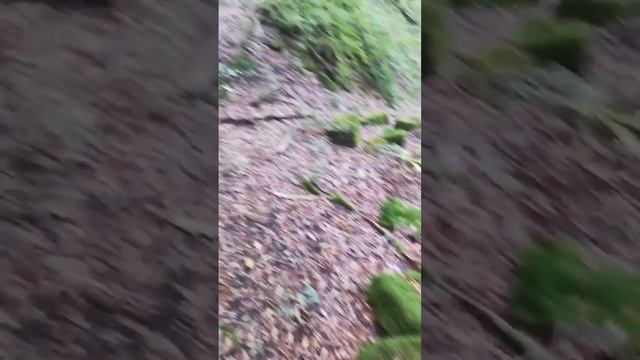 25 ноября 2023 г. смотреть онлайн