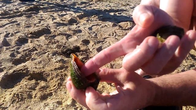 Анапа. 30 октября. Продолжаем булькаться в море.