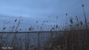 Застряли во льдах. Охота на утку на раскатах. Тысячи перелетных уток.