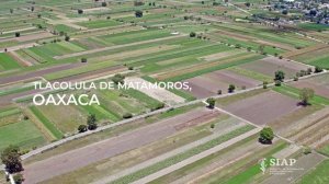 Tlacolula de Matamoros, Oaxaca