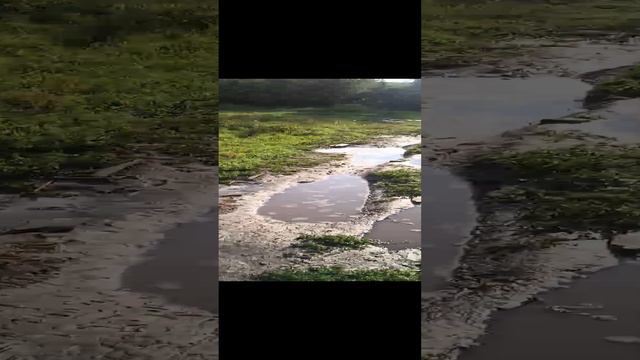 Ключевая вода