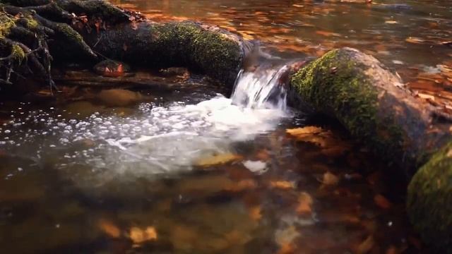 Релакс музыка для здорового сна. Relax music for healthy sleep. смотреть онлайн