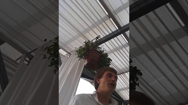 Тост Санька смотреть онлайн