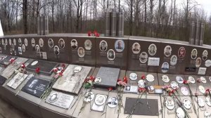 Немного истории о Синявинских высотах.