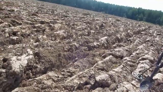 Коп на старом поле. Часть 1. Собирались за рариками, а собрали металлолом смотреть онлайн