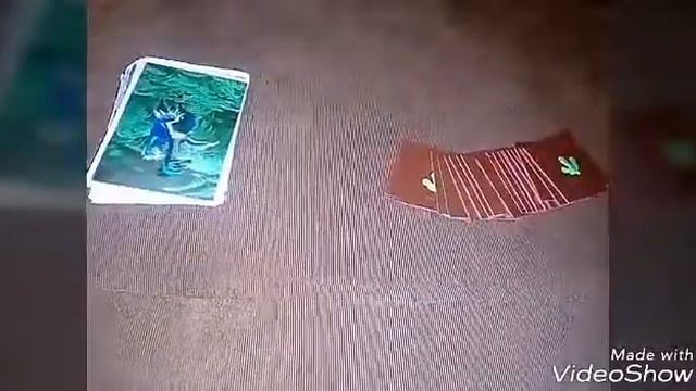 Открываю карточки из дикси