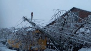 Последствия ледяного дождя 12 февраля на ЕТР. Как тут не поверить в климатическое оружие