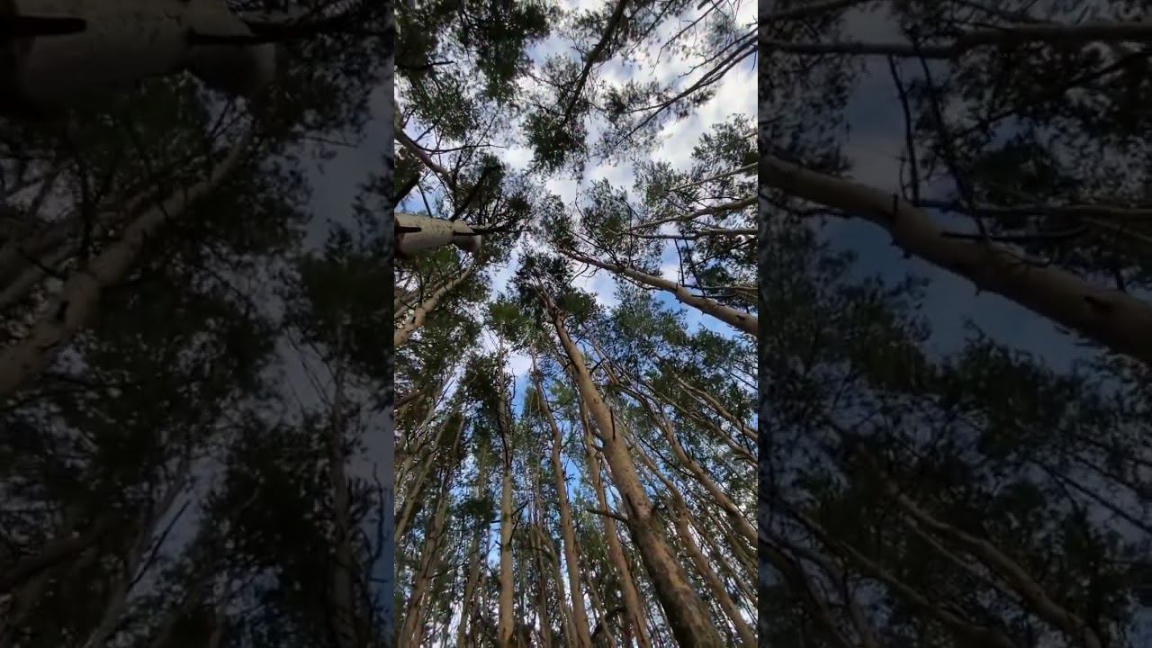 Остановитесь от суеты смотреть онлайн