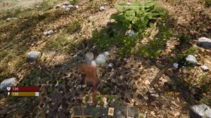 Выживание в открытом мире ?для взрослых в Wicked Island Demo v0.8.3 Первый взгляд