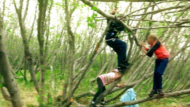 Капоэйра-лагерь|1смена|День 1 смотреть онлайн