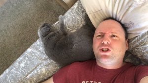 ПРОСТО ЕЩЕ ОДИН ДЕНЬ - 40-летний холостяк