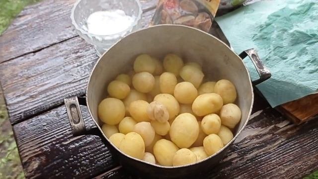 Картошка на садже. Длительная и безупречная работа печи!