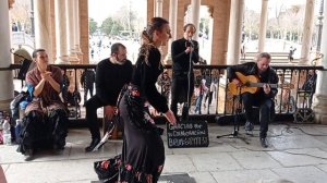 La Flamenco Dance Show  February 2023 Ep.9 | Plaza España Sevilla #españa #sevillanas #flamenco