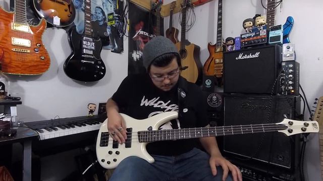 Is a Budget Looper Any Good? | Lekato Looper/Tuner Mini Pedal Unboxing/Review смотреть онлайн