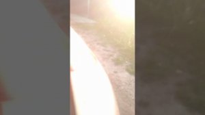 Рено Меган 3 Замена лампочки (стоп, поворота)