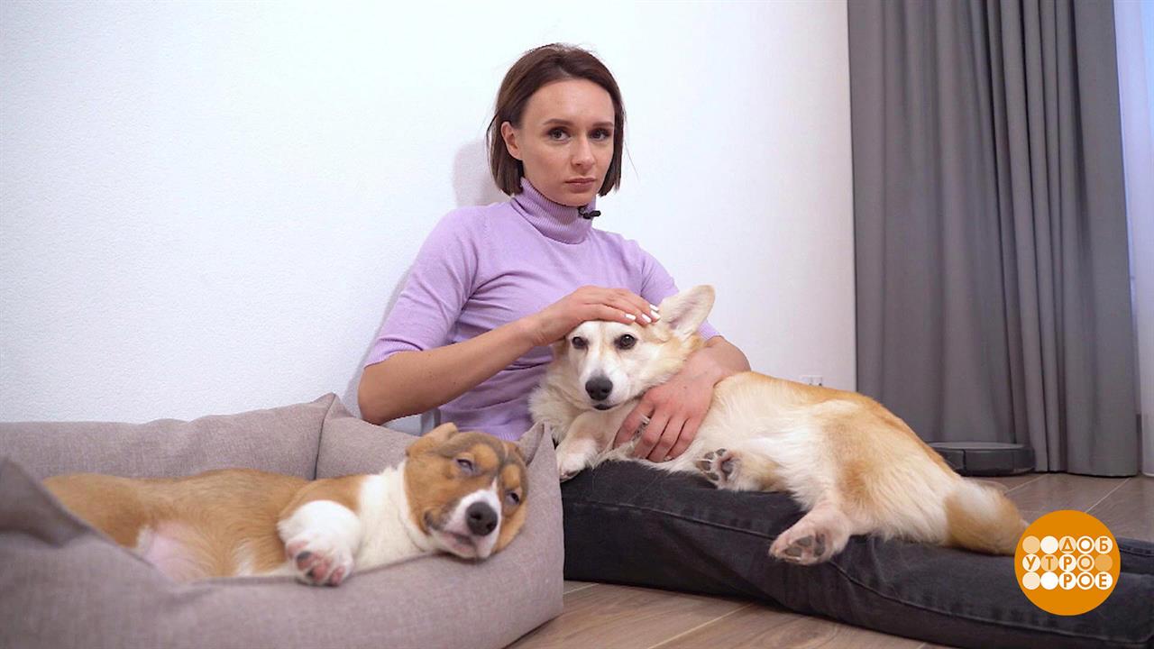 Плюша знакомится с Корицей. Доброе утро. Фрагмент выпуска от 24.01.2022