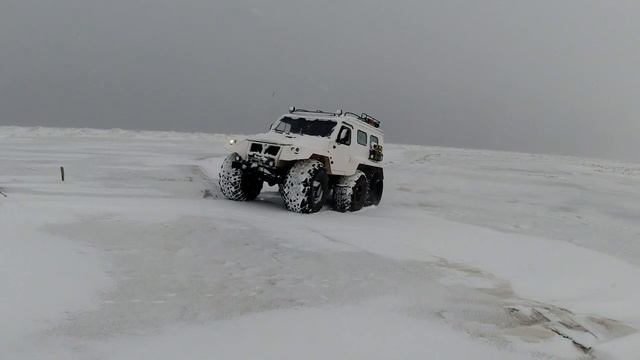 С днем вахтовика! смотреть онлайн
