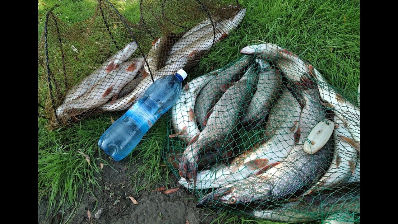 Рыбалка на спиннинг. Рыбалка на щуку на джиг. На этот силикон клюет всегда. Река Омь. Рыбалка 2020. смотреть онлайн