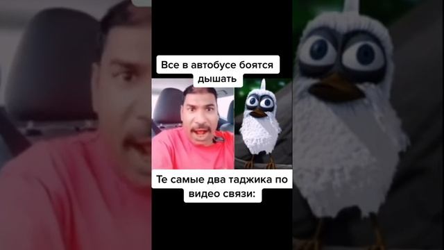 В автобусе все боятся дышать, те самые таджики по видео связи: