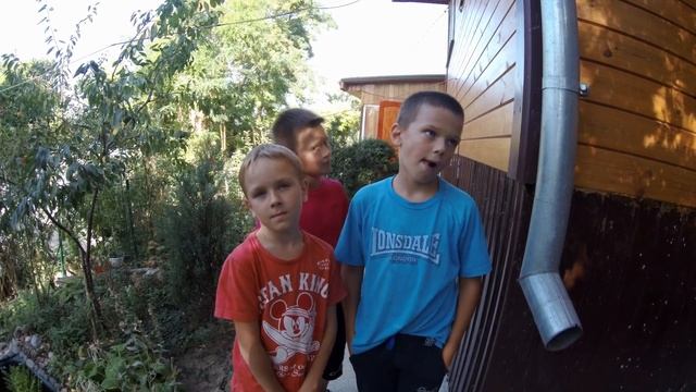 Квест "Большая панда". Развивающая игра для детей 5-10 лет.
