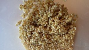 Рыбный суп с перловкой