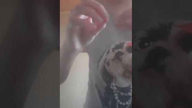 Третья часть трипофобия смотреть онлайн