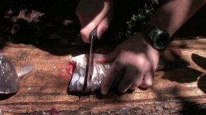 Разделочный нож Степной v 2.0 от фирмы ООО ПП Кизляр. Выживание. Тест №104