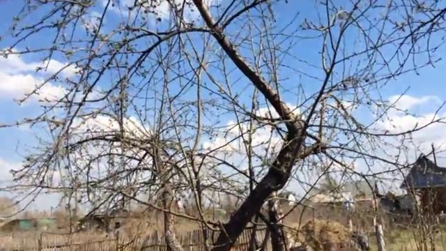 Участок 9 соток, пос.Осташково, садоводчество "УРОЖАЙ"