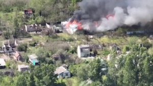 Уничтожение группы всушников в дельте Днепра в Херсонской области