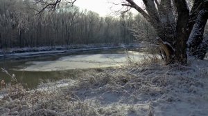 Рыбалка на окуня зимой. Где искать?