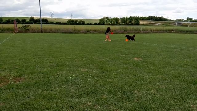Qualifier Austria'17  Amy & Apryl.mp4