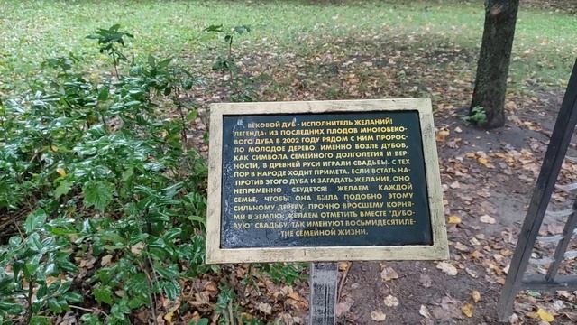 ВЕКОВОЙ ДУБ - ИСПОЛНИТЕЛЬ ЖЕЛАНИЙ / УСАДЬБА ГОРКИ ЛЕНИНИСКИЕ / ДОМОДЕДОВО