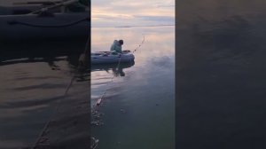 Чукотское море, Июль, первый улов! 👍😉