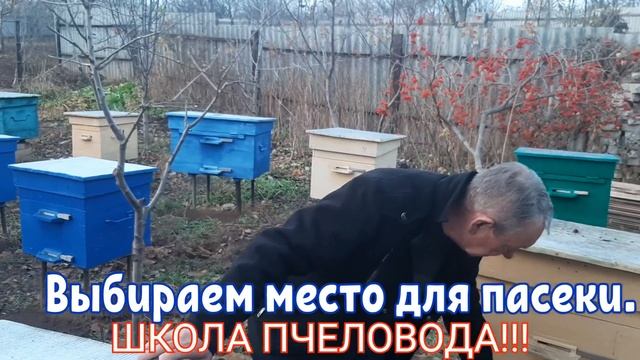 ПАСЕКА.ПЧЕЛОВОДСТВО. КАК ПРАВИЛЬНО ВЫБРАТЬ МЕСТО ДЛЯ ПАСЕКИ.