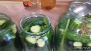 Соленые Огурцы на Зиму/Огурцы с Лимонной Кислотой /Как заморозить Помидоры? ЕЖЕВИКА в Заморозку
