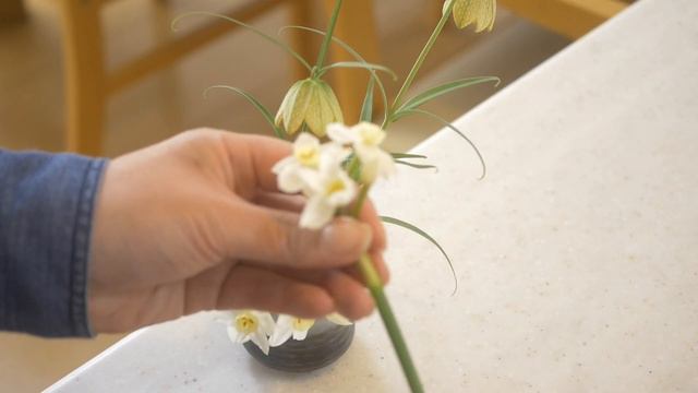 【生け花】春の地植え球根祭り🤣大好きな花はシンプルに✨庭の花を飾ってみよう🎵初心者でも家にある物でするできる！ смотреть онлайн