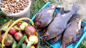 Готовим рыбу.Собираем орехи,бархотцы .Макс нашел тыкву 🎃 😉