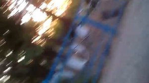 Наш софиевский городок