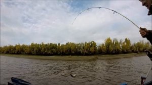 рыбалочка на донки р Обь