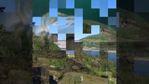 Зейская ГЭС (Природа Зейского водохранилища)