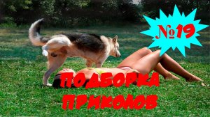 ЛУЧШИЕ ПРИКОЛЫ 2022 Май #19 Лучшая Подборка Приколов ТОПОВЫЕ ПРИКОЛЫ